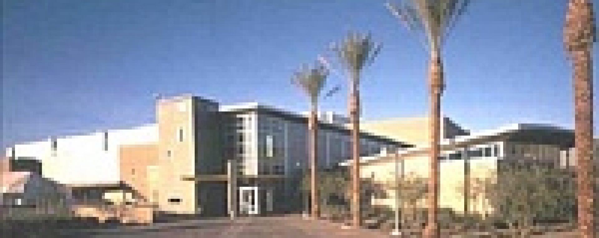 A building with palm trees in front of it, constructed by MKB Construction Services.